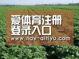 种植基地五(图1)