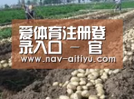 种植基地七(图1)