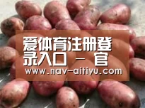 产品展示标题5(图1)