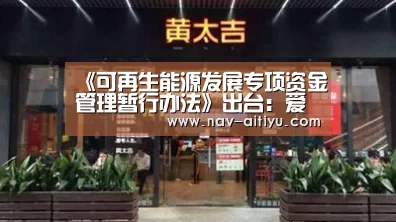 《可再生能源发展专项资金管理暂行办法》出台:爱体育登录(图2) 爱体育登录