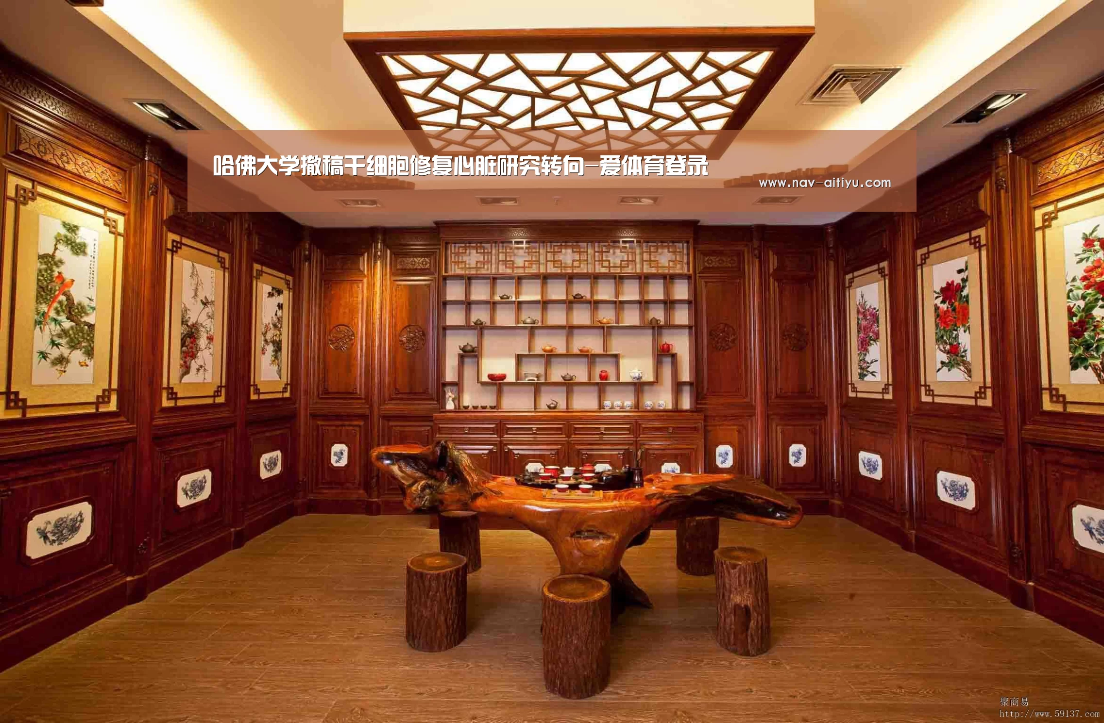 哈佛大学撤稿干细胞修复心脏研究转向-爱体育登录(图2) 爱体育登录
