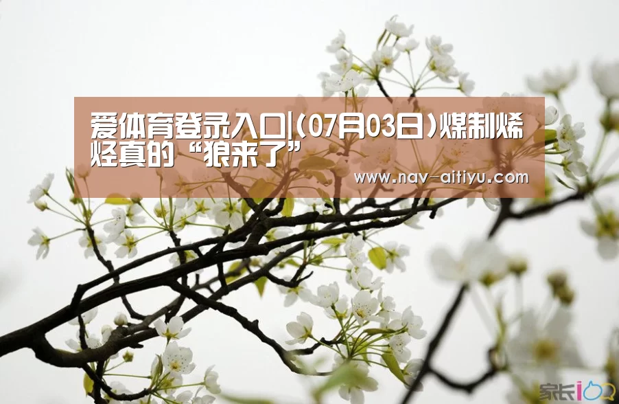 爱体育登录入口|(07月03日)煤制烯烃真的“狼来了”(图1) 爱体育登录入口